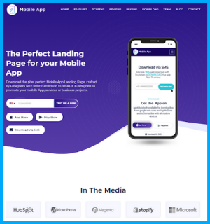 7 Things to check before purchasing Templates from HubSpot Marketplace 3 hubspot-landing-page