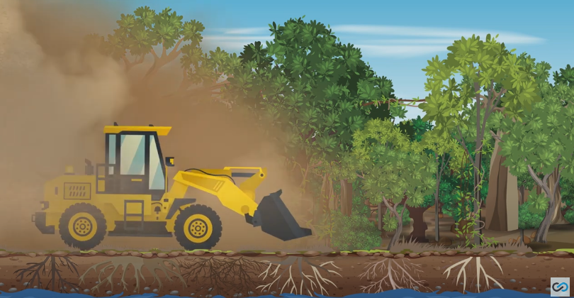 md dog video thumbnail