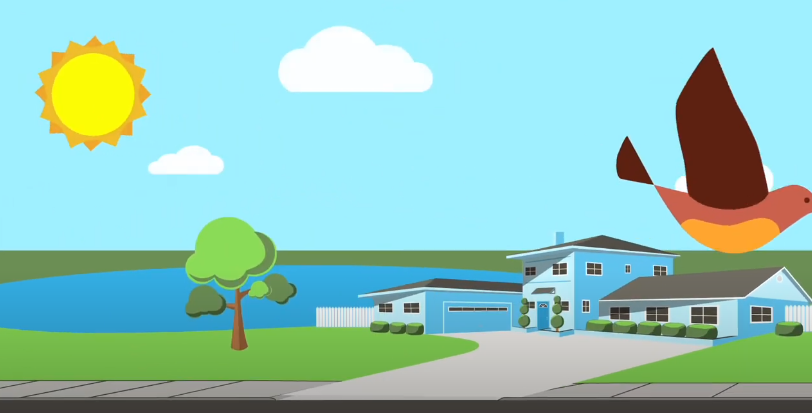 motion reel ideo thumbnail