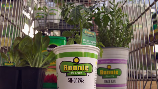 766390964 d6d1f79d6f3c097ea92e3cf7127961c053de683be419f62eb62767927e46b1ca d 640