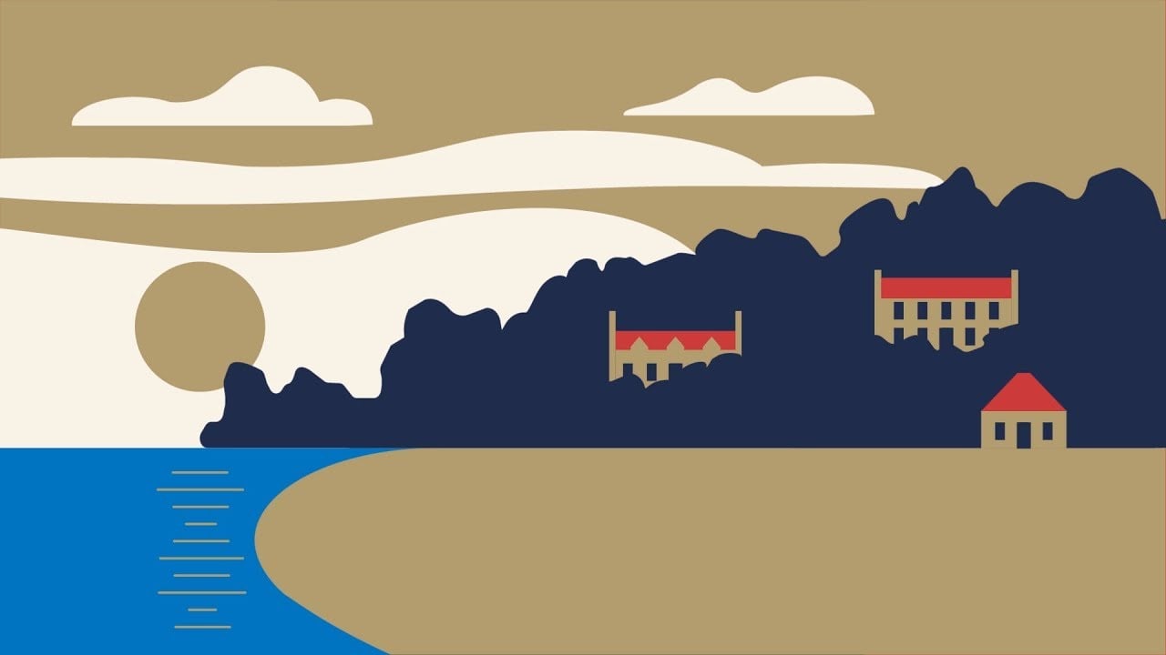 Explainer Video Production Companies: How to choose the best one? 35 focJugkq dI HD