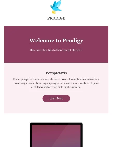 Prodigy-hubspot-email-template