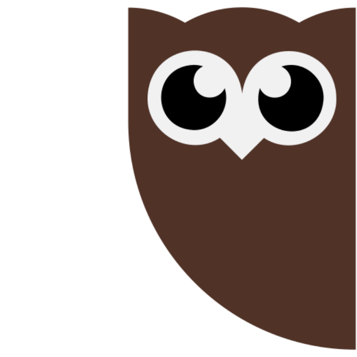 HubSpot vs Hootsuite: The Battle of the leading Social Media Titans 4 hootsuite-logo-favicon