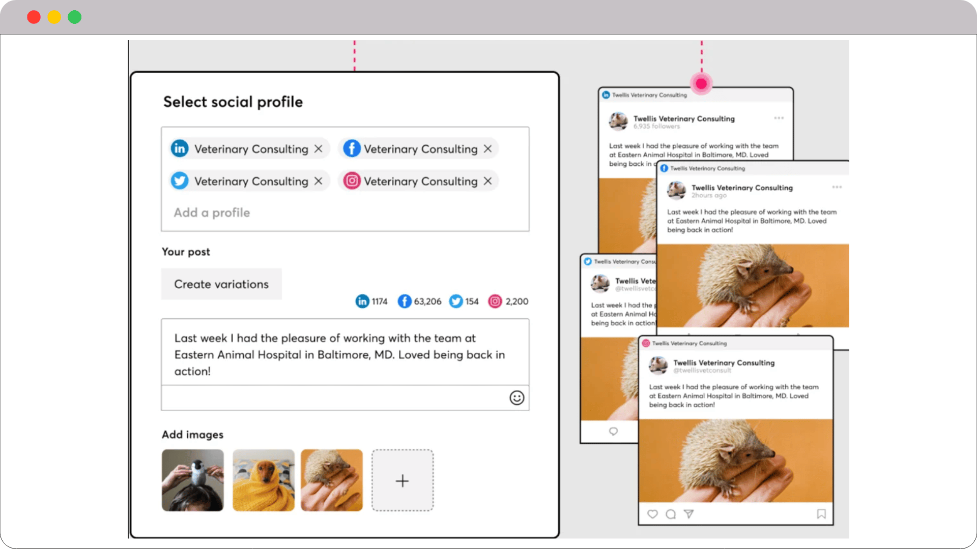 constant-contact-campaign-management