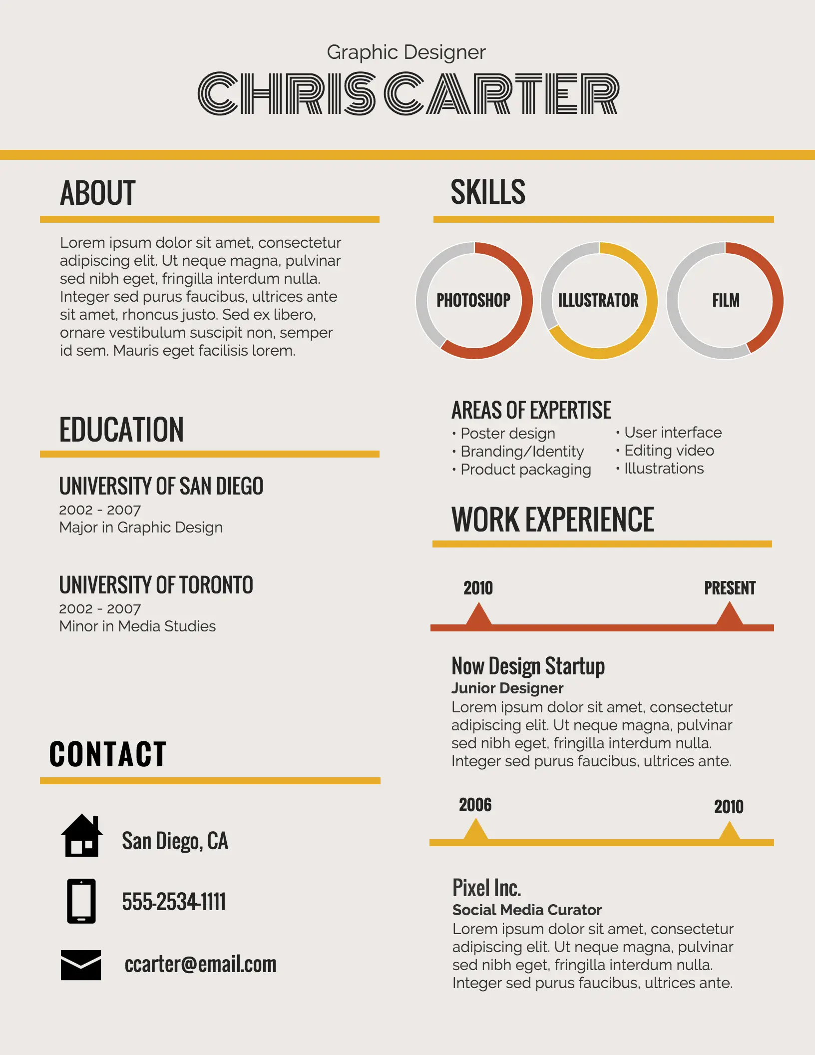 What are the types of Infographics and how can you use them? 11 Resume infographic
