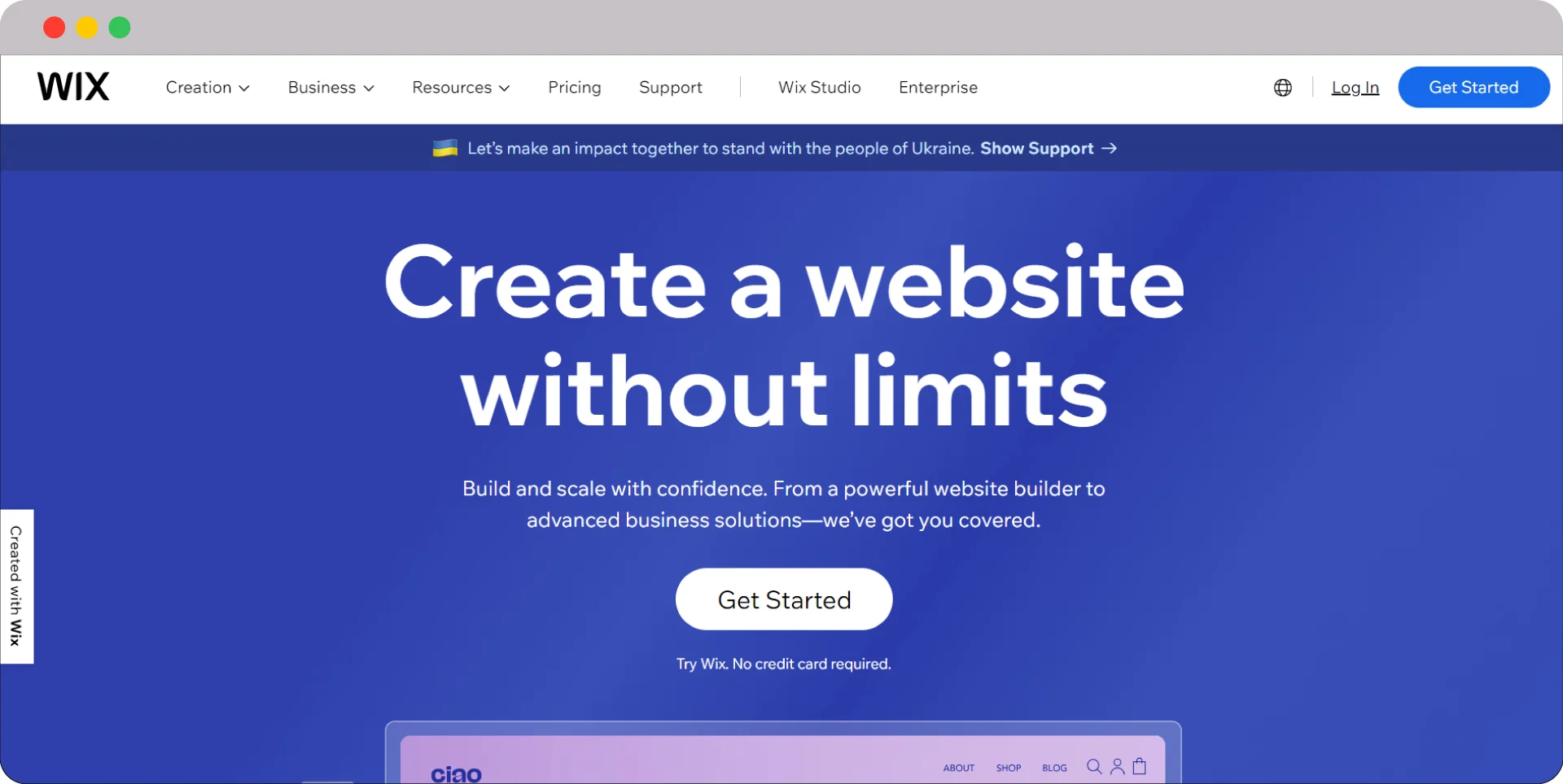 Wix SaaS Website Builder