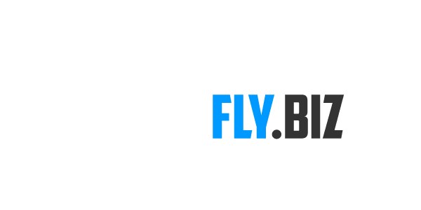 Professional Logo Animations for your Business Growth 1 fly biz logo