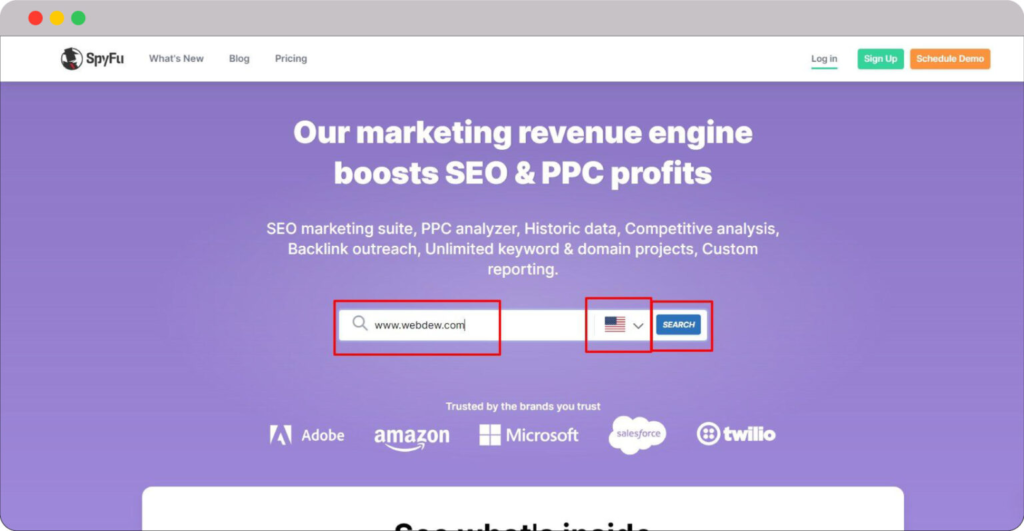 Dominate Search Engine with Backlink Checker: Our 20 Free & Paid Picks 63 Add the name of the domain 1536x797 1