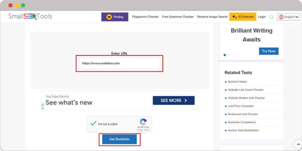 Dominate Search Engine with Backlink Checker: Our 20 Free & Paid Picks 18 Enter your domain name 1536x769 1
