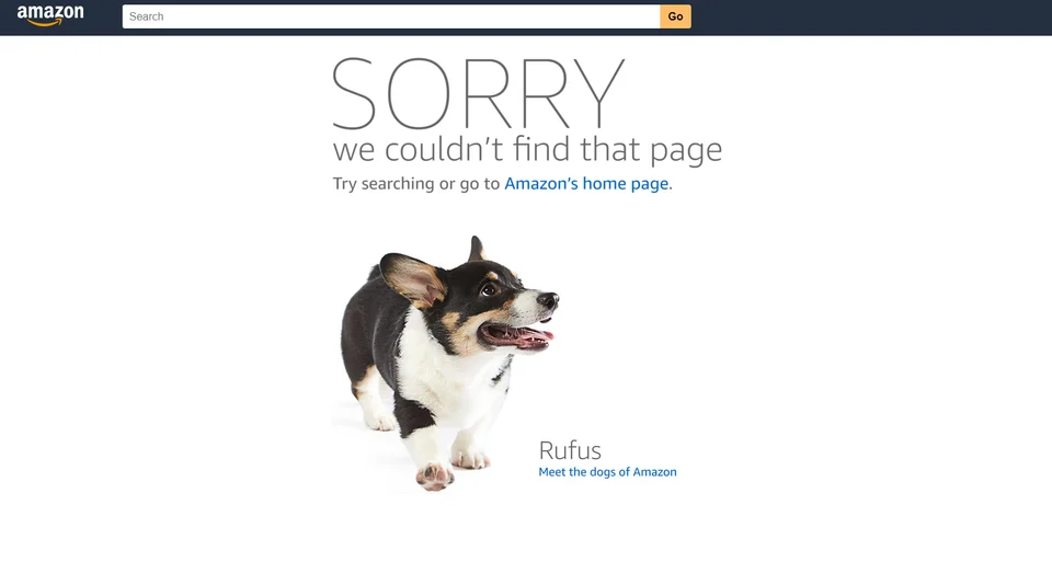 What is a 404 Page and How can you create one for your Website? 1 amazon 404 error page