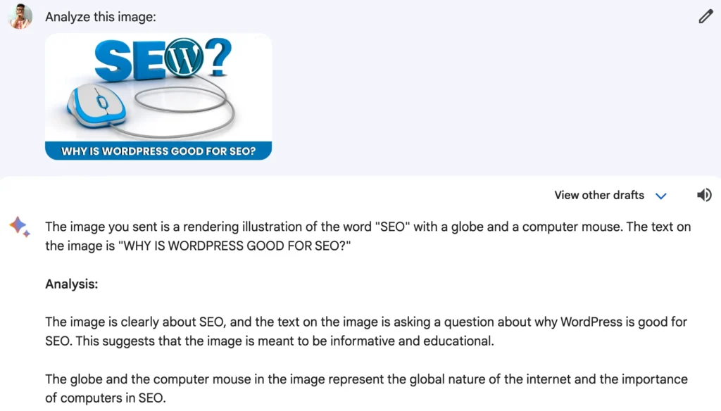 Google Bard vs ChatGPT: Revealing the best AI Chatbot 24 bard analyzing image