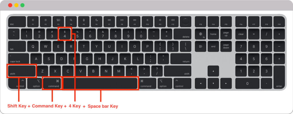 image 101 1024x399 1