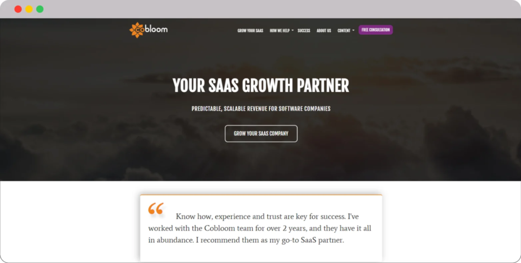 SaaS Marketing Agency Spotlight: Meet the Experts in driving Results 11 image 192 1536x777 1