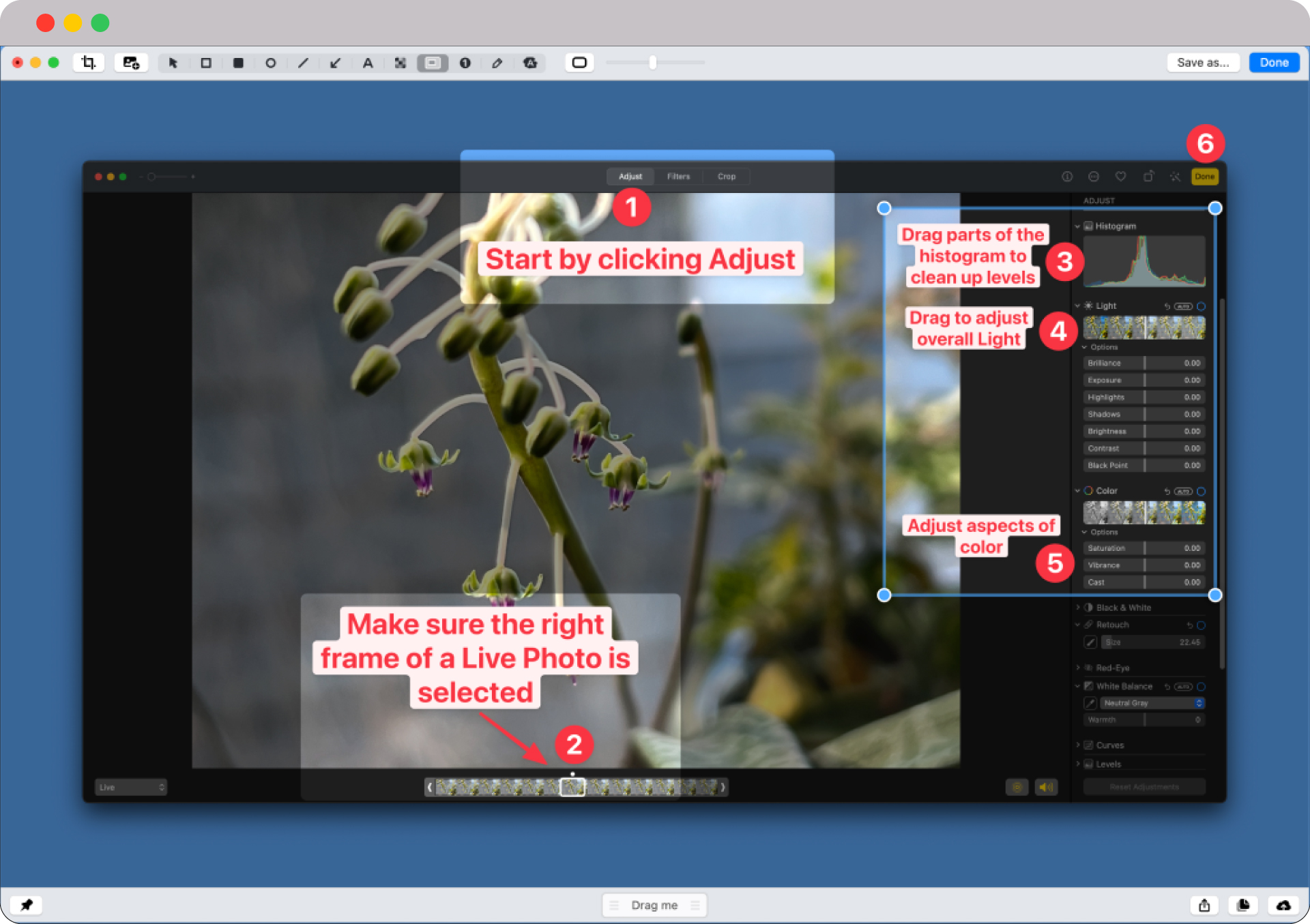 Empower your visual content: Choosing the Best Screenshot Tool for Mac 2 image 50 2