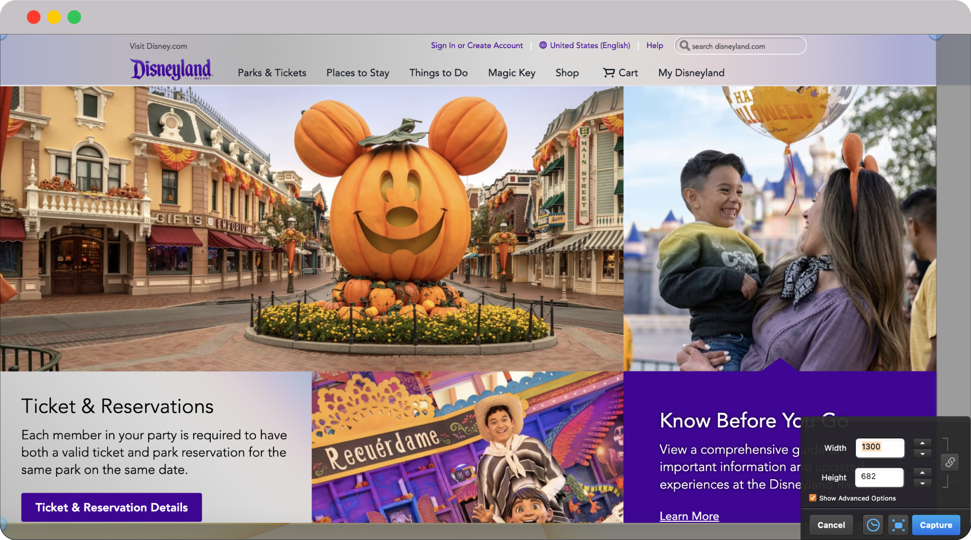 Empower your visual content: Choosing the Best Screenshot Tool for Mac 27 image 73 2