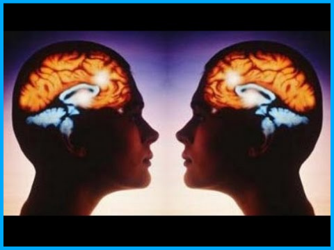 Why Line Art Videos are the Best Sellers? 2 mind