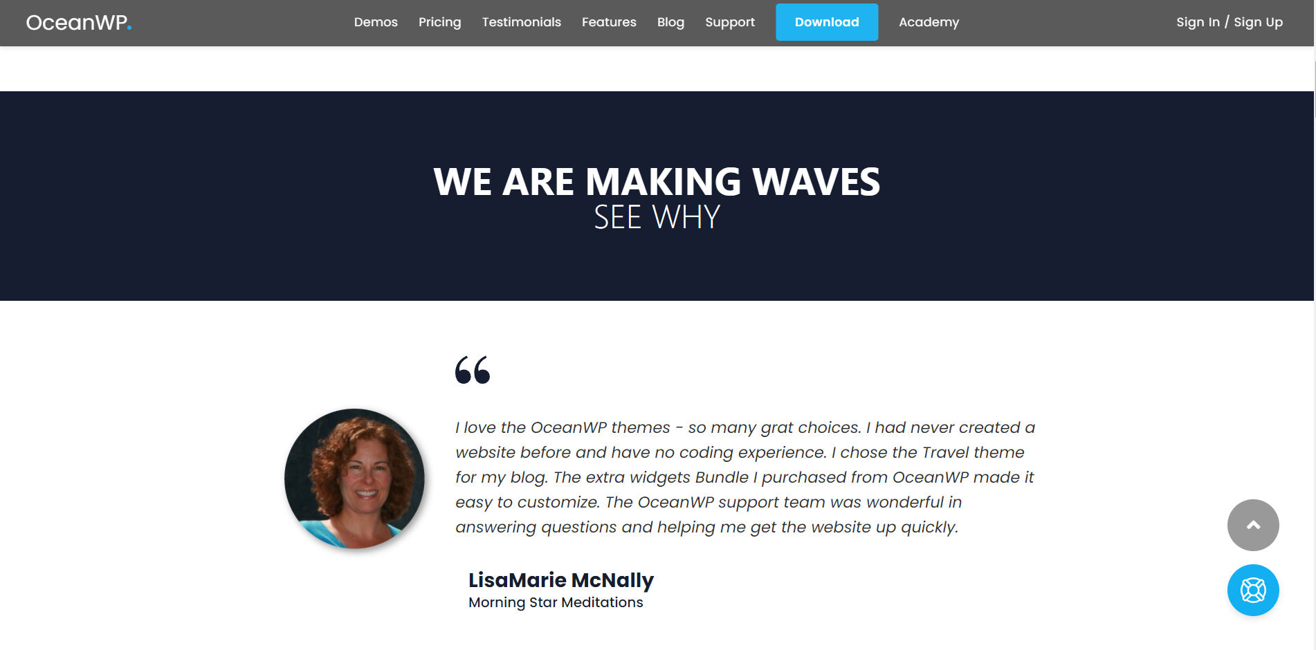 oceanwp wordpress theme