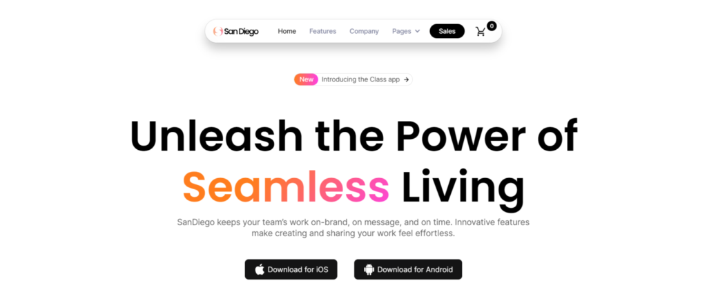 sandiego webflow io saas website template 1536x650 1