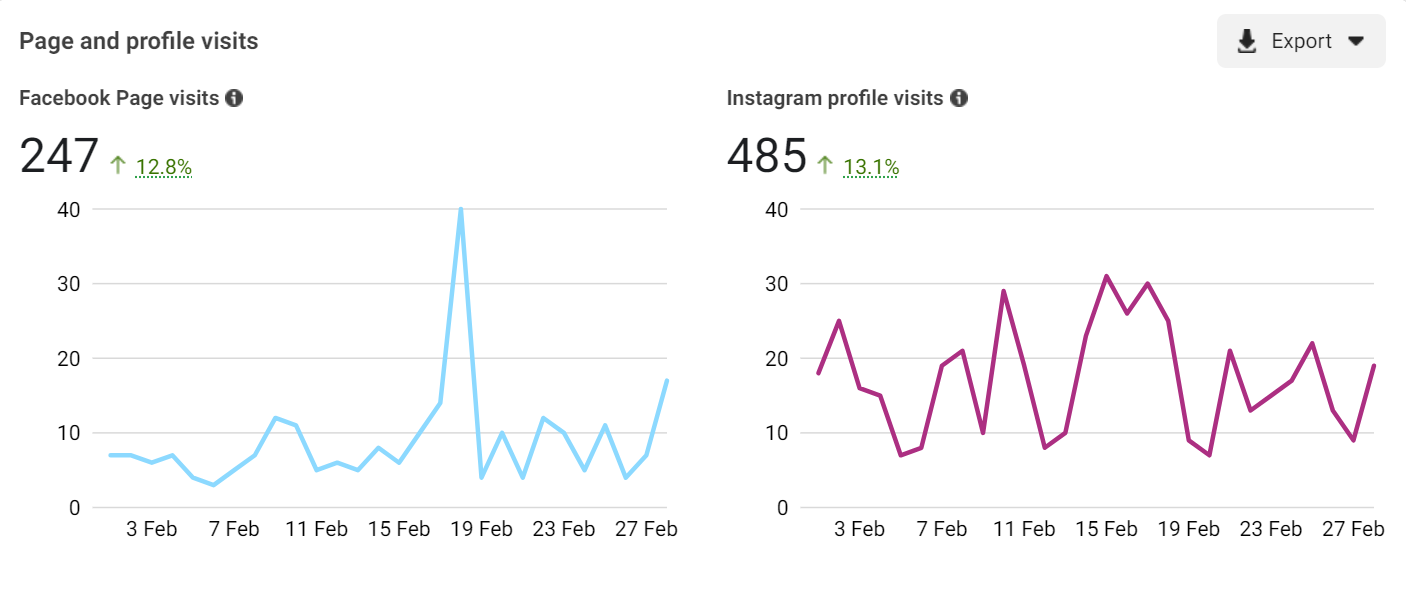 webdew feb page and rofile visits facebook and instagram