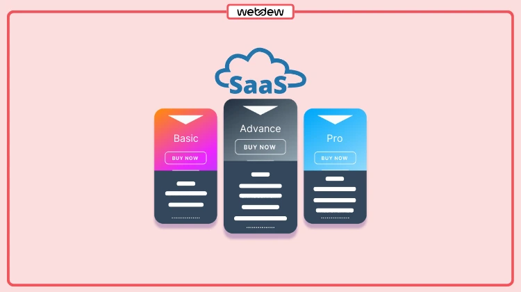 Best SaaS Pricing Model