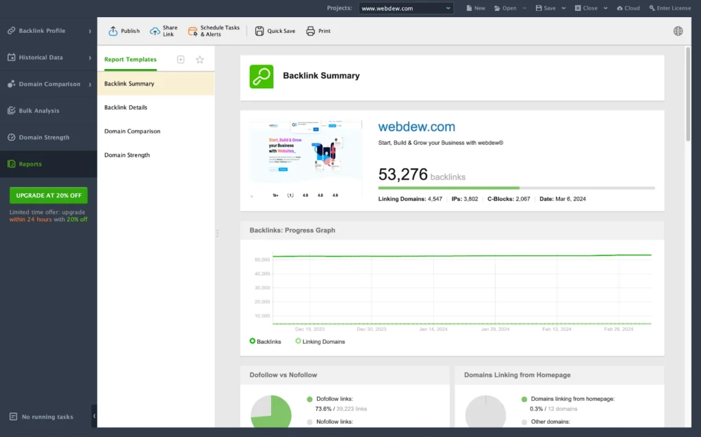 Reports backlink summary