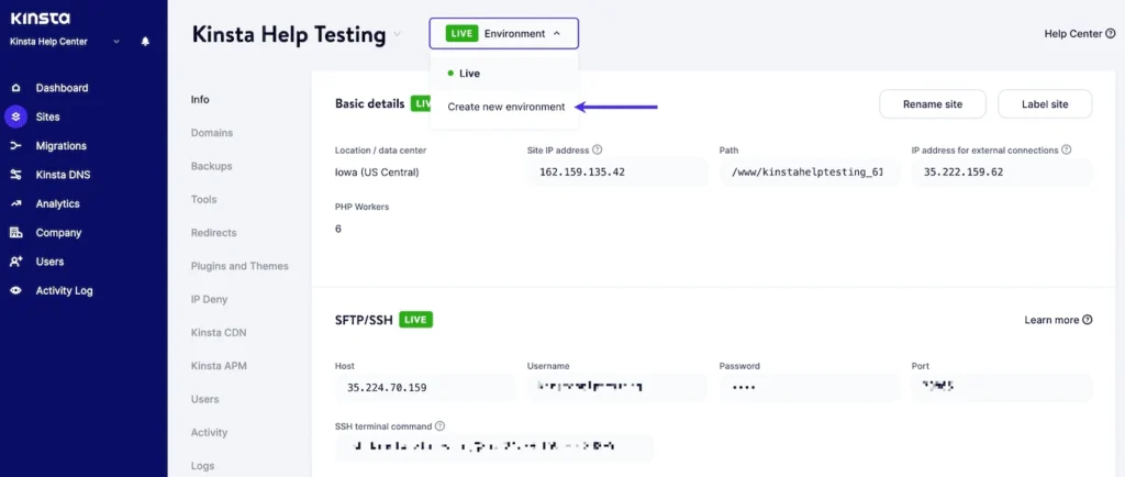 kinsta staging