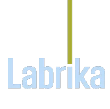 Explore 39 Best Lifetime Deals: Secrets To Unbeatable Offers 60 labrika logo