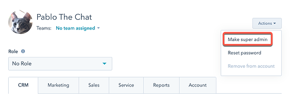 How to edit HubSpot User Permissions: A quick Guide 1 giving-access-to-super-admin